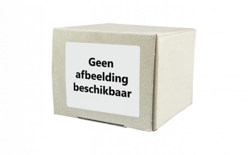 Gevelschroef blank 4 mm 40 mm RVS blank